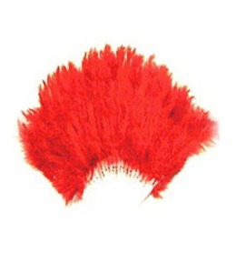 빨강깃털 부채 Orange feather fan