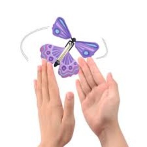 날아가는 나비     Flying butterflies