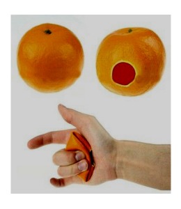 어피어링 귤Appearing Orange